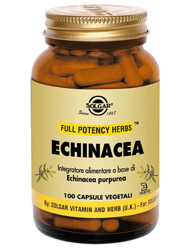 Echinacea