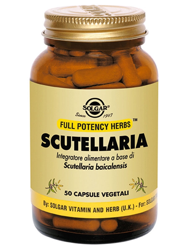 Scutellaria