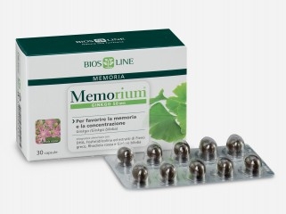 Memorium Ginkgo