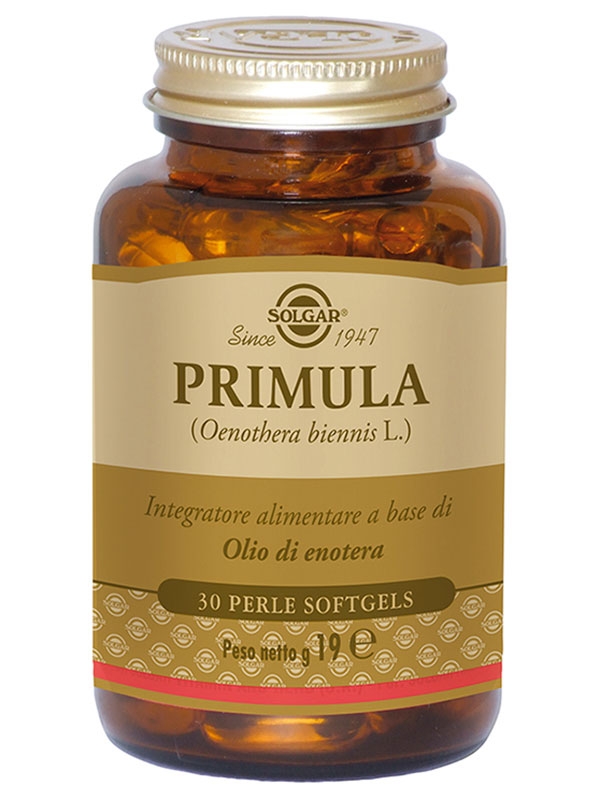 Primula