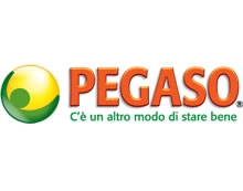 Pegaso